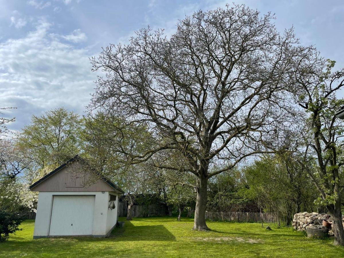 فيلا Kleines Haus Am Feld Rehna المظهر الخارجي الصورة